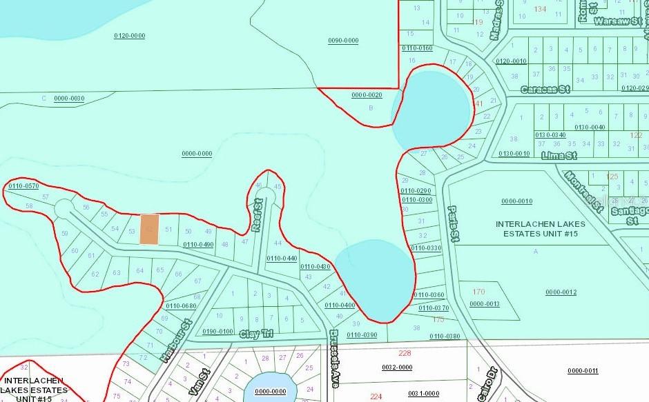 This image is a land parcel map showing property boundaries and street layouts — 254 BRUSSELS AVENUE, INTERLACHEN, FL