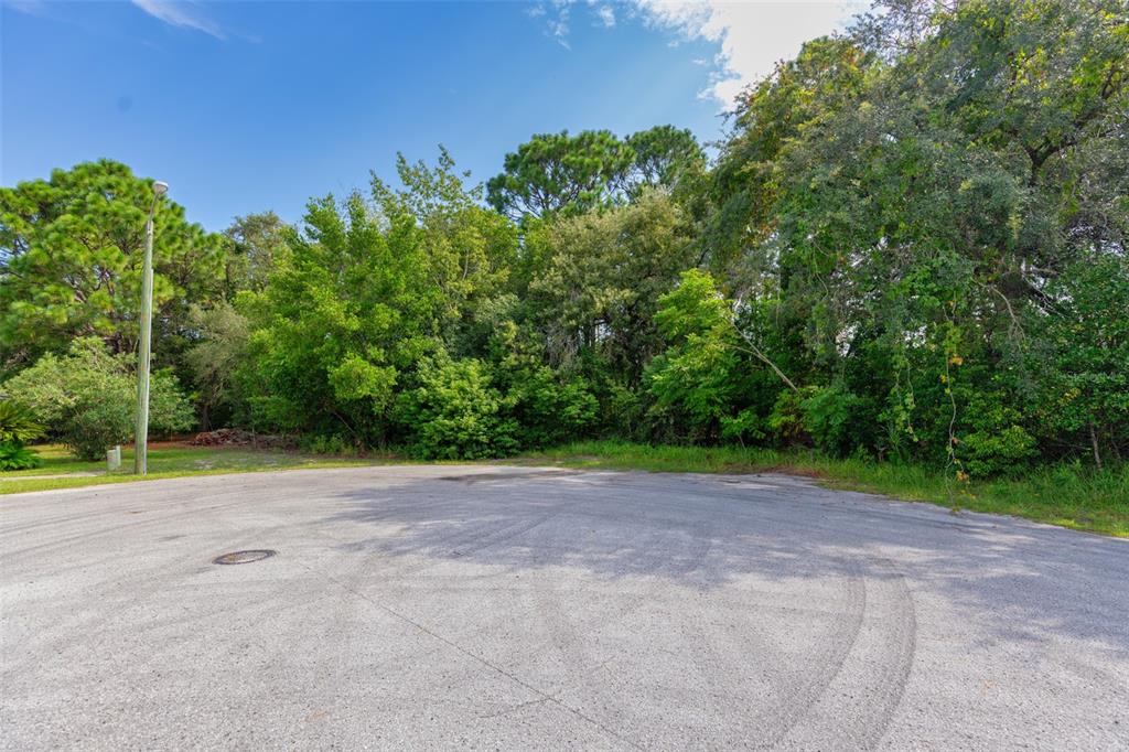 . LAKEVIEW COURT, SPRING HILL, FL — photo 3 of 4