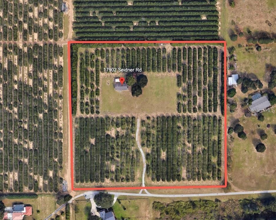 An aerial view shows a house situated on a large, rectangular plot of agricultural land — 17902 SEIDNER ROAD, WINTER GARDEN, FL