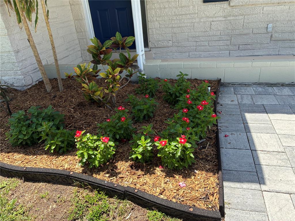 52 CYPRESS DRIVE, PALM HARBOR, FL — photo 2 of 46