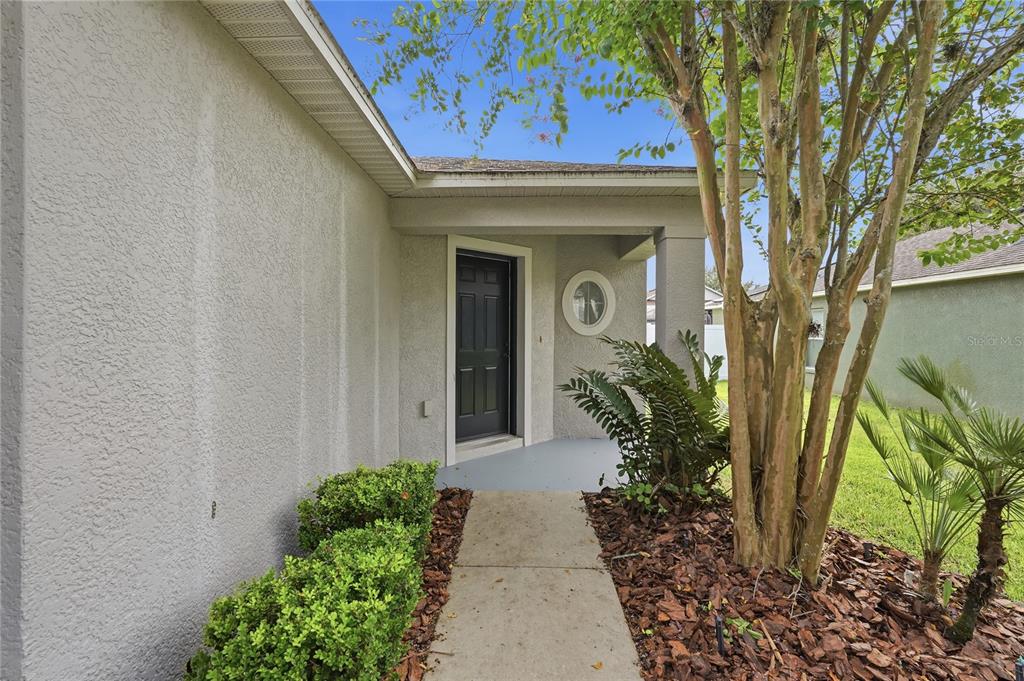 A concrete walkway leads to the front entrance of a house with a black door — 311 WESTCHESTER HILLS LANE, VALRICO, FL