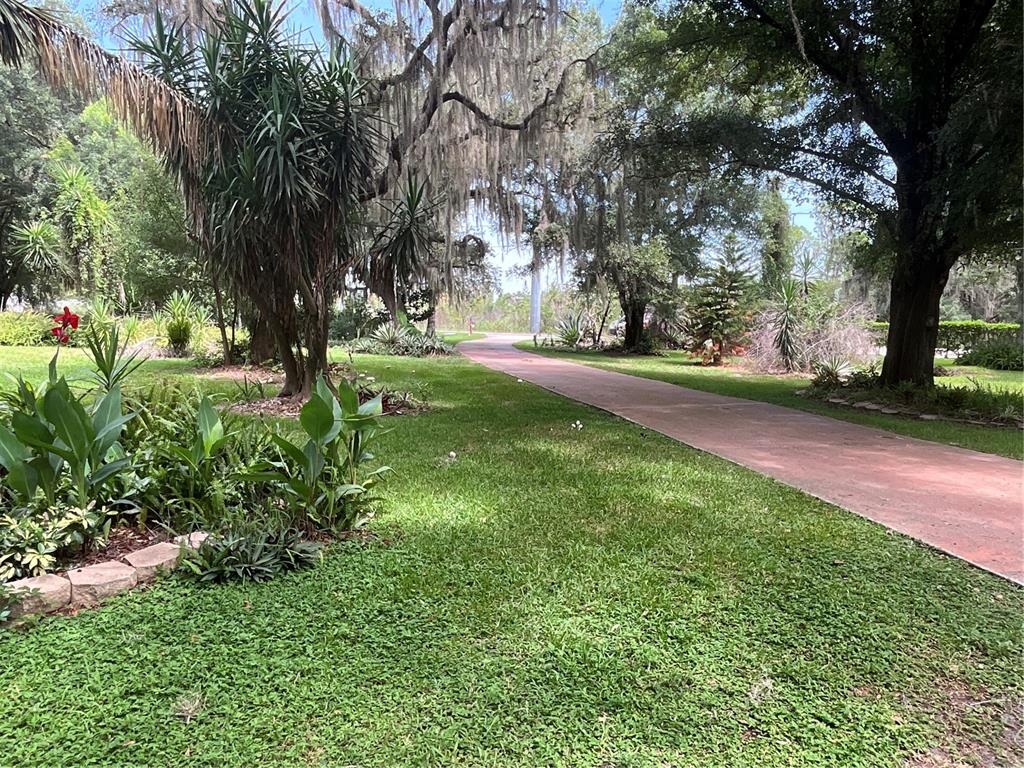 A paved path winds through a grassy yard shaded by large trees with Spanish moss — 2430 W COUNTY ROAD 44, EUSTIS, FL