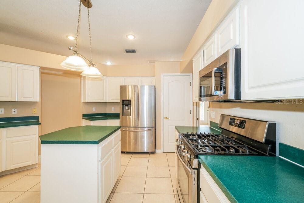 21402 PRESERVATION DRIVE, LAND O LAKES, FL — photo 5 of 16