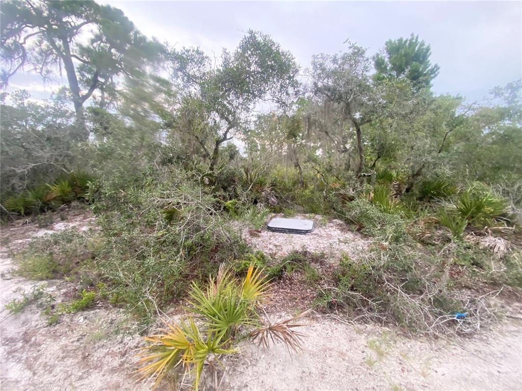 A rectangular utility box sits in a sandy, wooded lot with native shrubs and trees — 325 BRANT AVENUE, SEBRING, FL