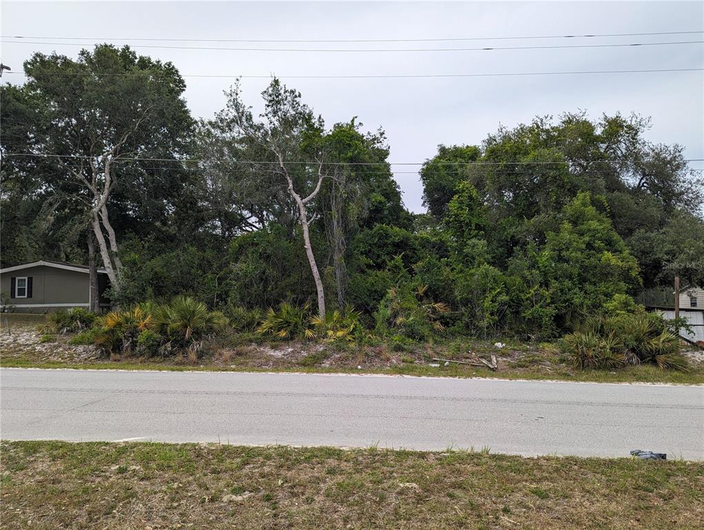 SPRUCE DRIVE, EUSTIS, FL — photo 2 of 8