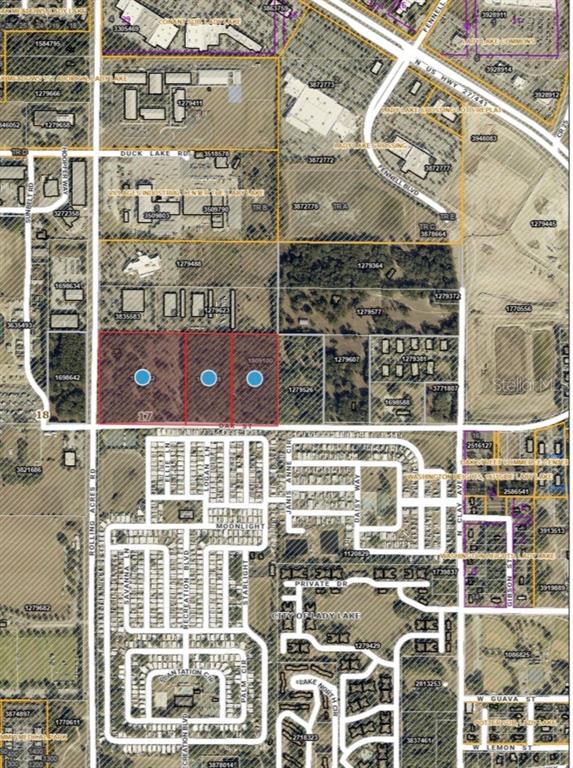 This is a map showing land parcels highlighted in red with blue dots — 451 ROLLING ACRES ROAD, LADY LAKE, FL