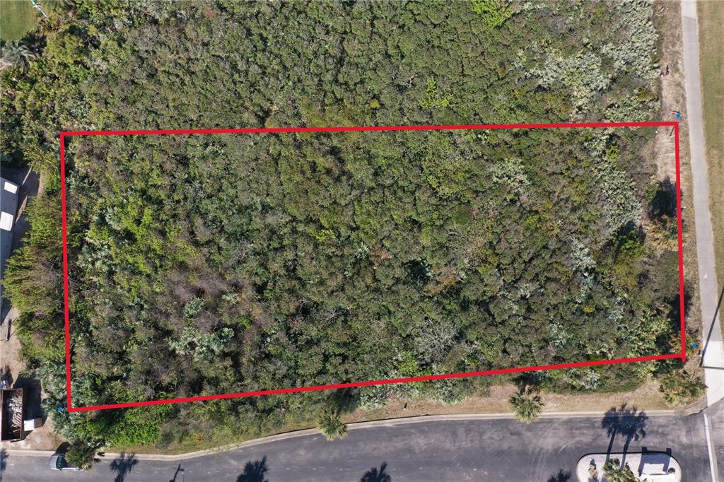 An aerial view shows a rectangular, undeveloped lot covered in dense vegetation — 2584 N OCEAN SHORE BOULEVARD, FLAGLER BEACH, FL