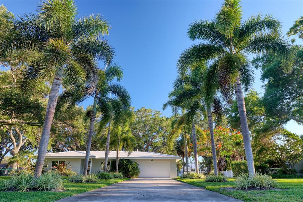 A single-story house with a white roof and garage sits behind a palm-lined driveway — 5 SHORE DRIVE, DUNEDIN, FL