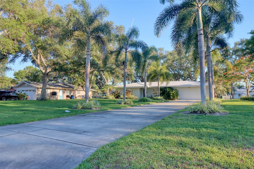 A single-story house with a concrete driveway and palm trees on a grassy lawn — 5 SHORE DRIVE, DUNEDIN, FL