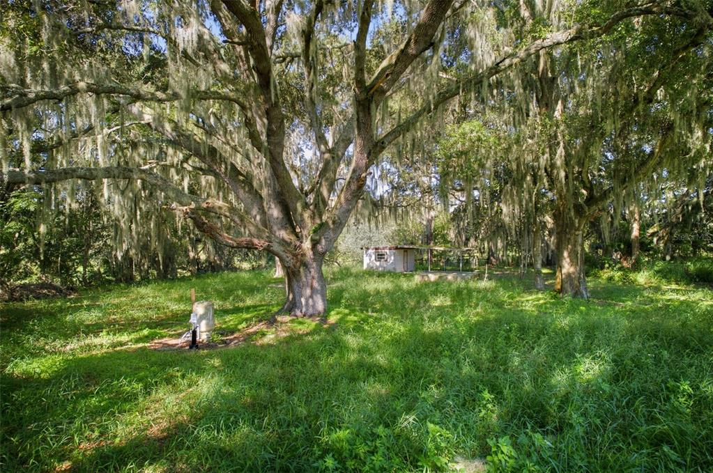 32922 N WHITNEY ROAD, LEESBURG, FL — photo 4 of 30