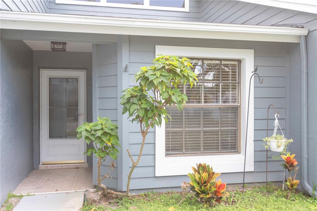 The exterior of a house features blue siding, a white front door, and a front window — 8900 WHISTLER WAY, HUDSON, FL