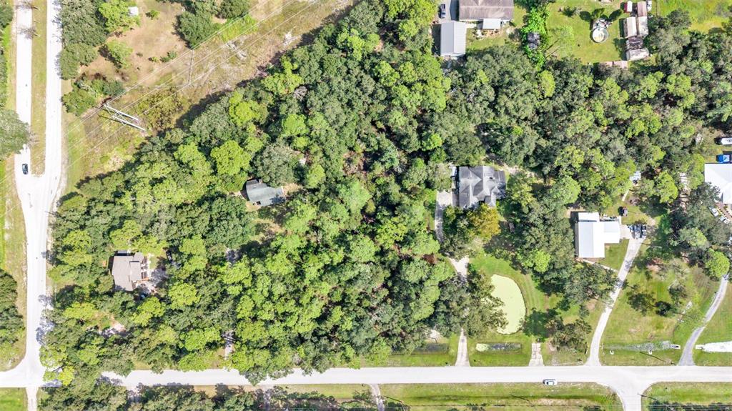 ITCHEPACKESASSA DRIVE, LAKELAND, FL — photo 3 of 11