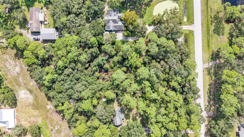 ITCHEPACKESASSA DRIVE, LAKELAND, FL — photo 4 of 11