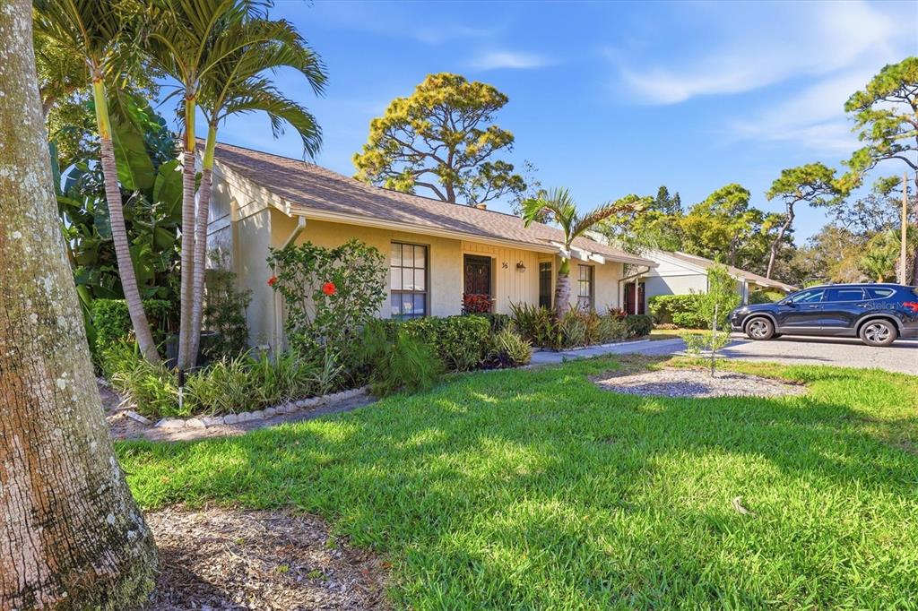 A front entrance features a decorative metal security door, light-colored siding, and a palm tree — 36 WINDRUSH BAY DRIVE UNIT 36, TARPON SPRINGS, FL