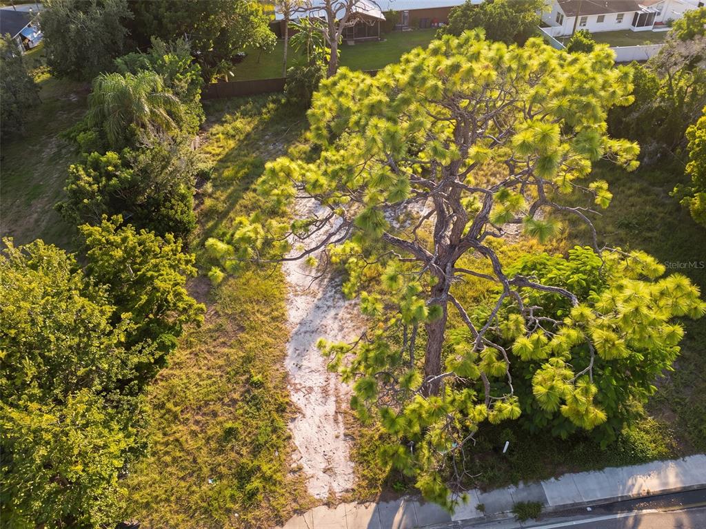 2328 WEBBER STREET, SARASOTA, FL — photo 3 of 8