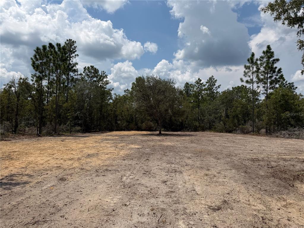 A cleared, sandy lot is surrounded by a dense forest under a cloudy blue sky — TBD NE 101ST TERRACE, ARCHER, FL