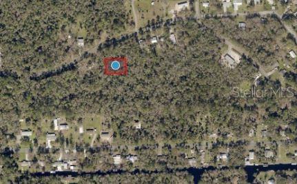 An aerial view shows a wooded plot of land marked with a red square and circle — RIVER ROAD, ASTOR, FL