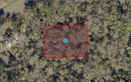 An aerial view shows a rectangular plot of land outlined in red amidst dense trees — RIVER ROAD, ASTOR, FL