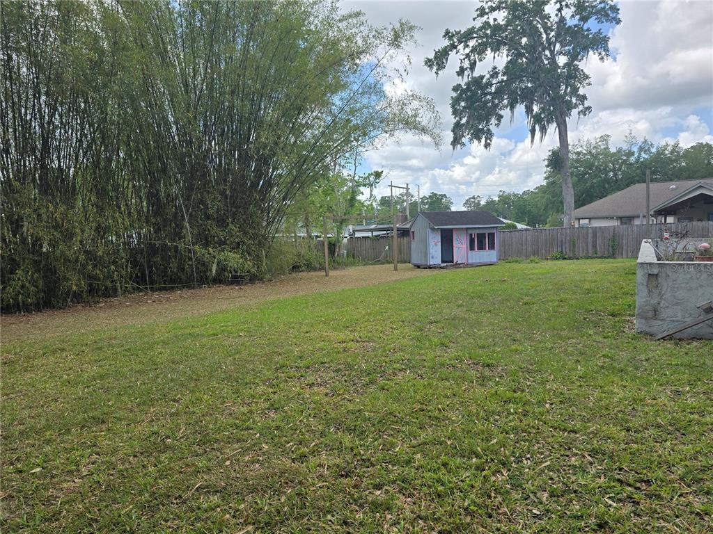 A backyard features a grassy lawn, a small shed, and a tall bamboo thicket — 4506 SE 7TH PLACE, OCALA, FL