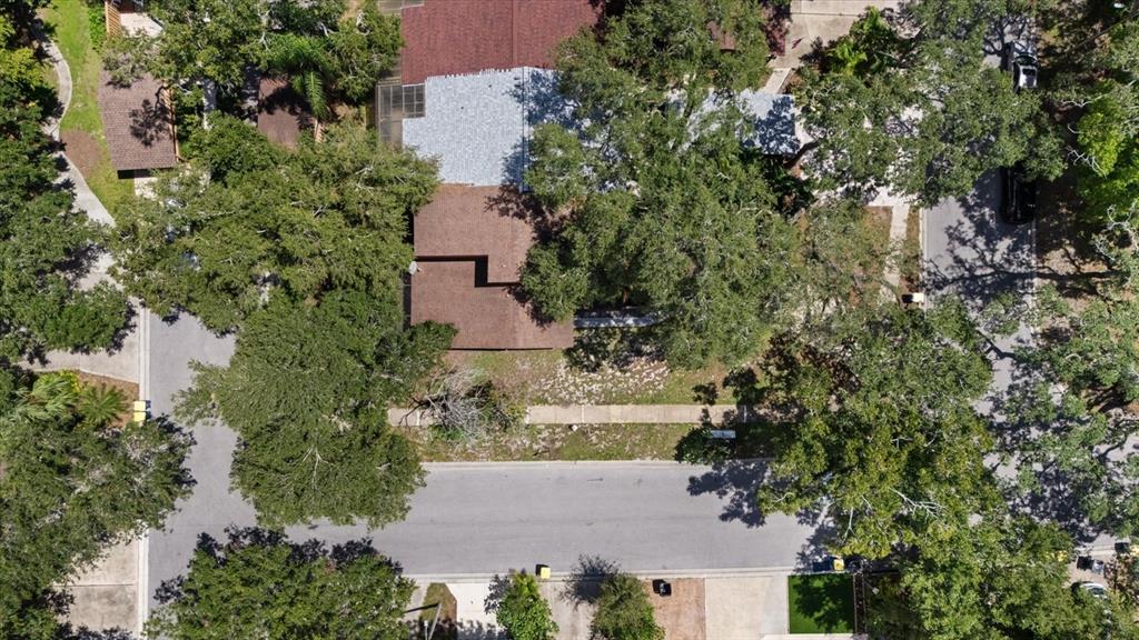 803 FAIRWOOD LANE, CLEARWATER, FL — photo 2 of 30