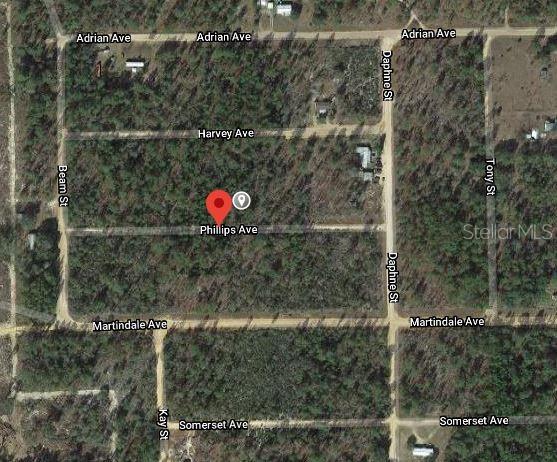This is an aerial map view of a wooded residential area with marked street names — 00 PHILLIPS AVENUE, INTERLACHEN, FL