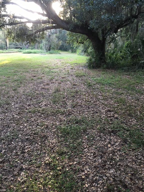 7805 TURKEY CREEK ROAD, PLANT CITY, FL — photo 2 of 2