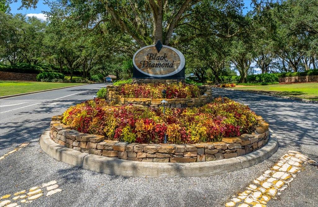 3365 N BENT TREE POINT, LECANTO, FL — photo 3 of 30
