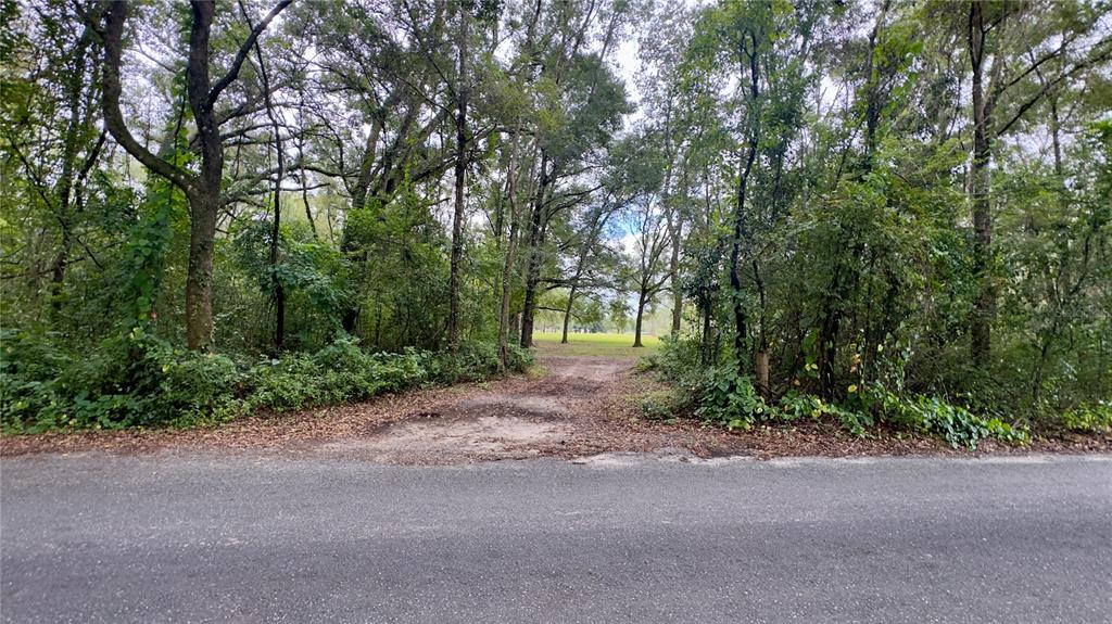 A dirt driveway leads from a paved road into a wooded lot — 20815 NW 62ND AVENUE, NEWBERRY, FL