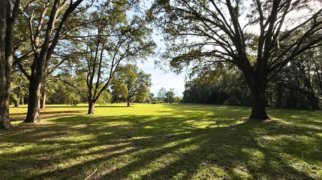 A large, grassy field is framed by several mature, leafy trees under a bright sky — 20815 NW 62ND AVENUE, NEWBERRY, FL
