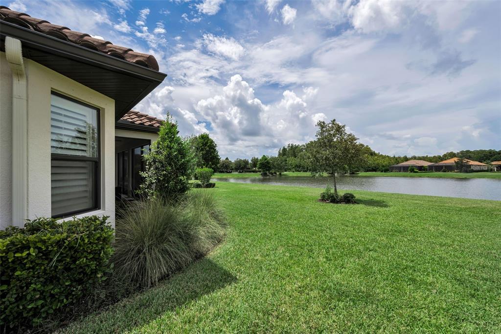 A view of a grassy backyard overlooking a pond with a house exterior on the left — 11386 JUGLANS DRIVE, ODESSA, FL