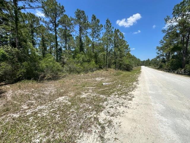 A dirt road runs alongside a dense, wooded lot with a survey marker visible — TBD OTTER DRIVE LOT 44, WEBSTER, FL