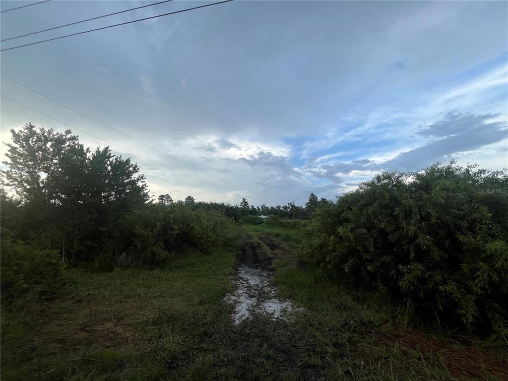 A muddy, overgrown dirt path leads through a grassy lot surrounded by trees and shrubs — E STATE RD 60, OKEECHOBEE, FL