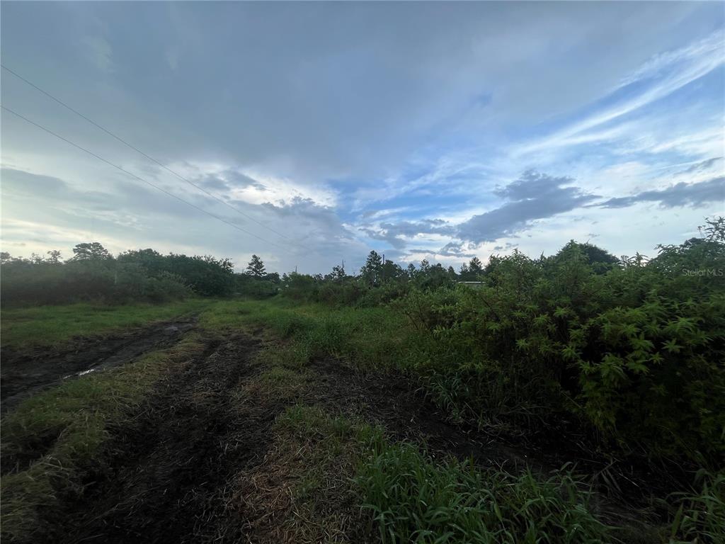 A muddy, unpaved path leads through a grassy, overgrown lot under a cloudy sky — E STATE RD 60, OKEECHOBEE, FL