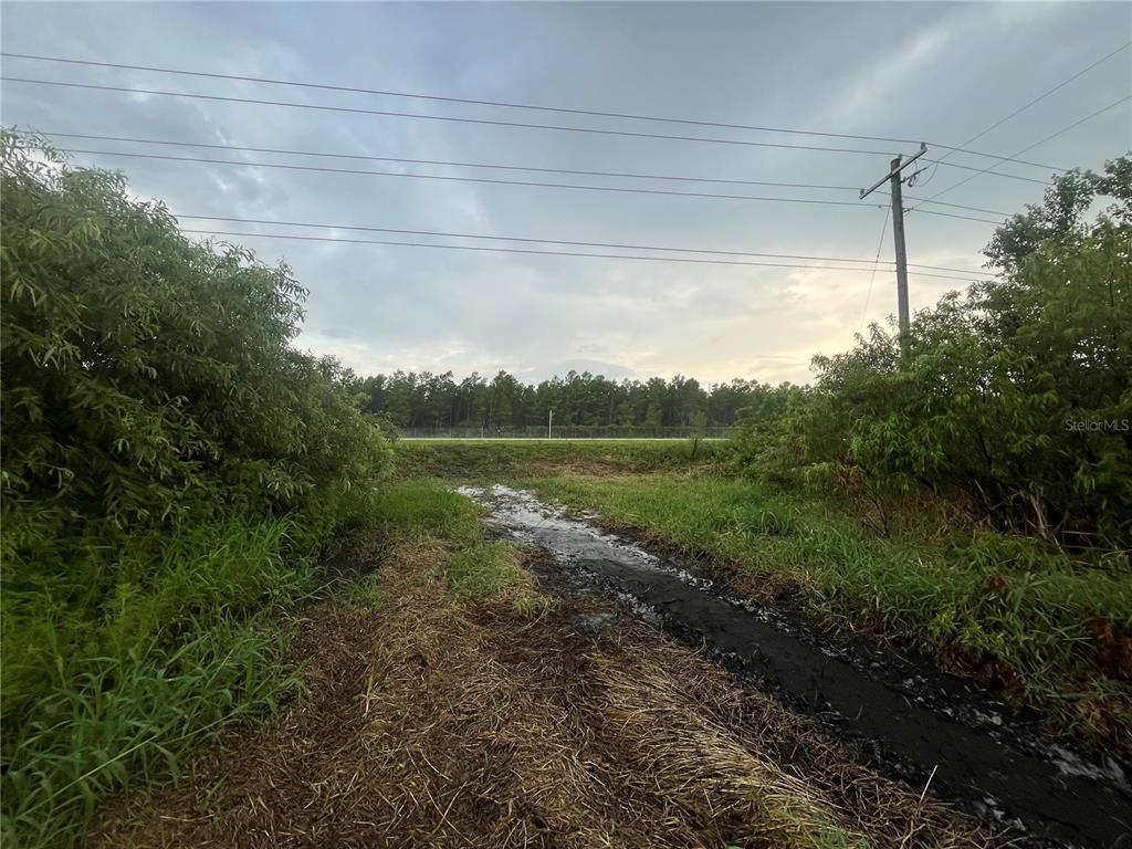 A muddy, grassy path leads toward a line of trees under a cloudy sky — E STATE RD 60, OKEECHOBEE, FL