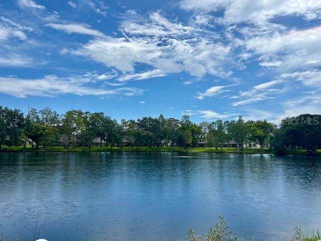 A view of a lake with a line of trees and houses in the background — 2529 OAKLEAF LANE UNIT 30C, CLEARWATER, FL