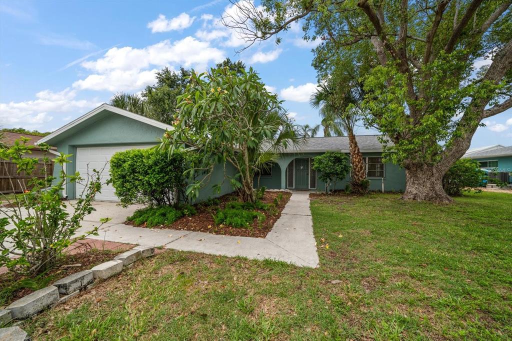 911 SAGO PALM WAY WAY