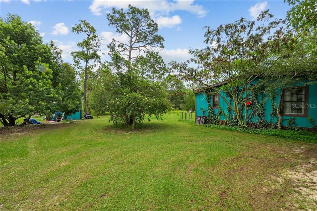 A teal house with ivy sits on a grassy lot surrounded by mature trees — 112 BIRCHDALE TRAIL, HAWTHORNE, FL