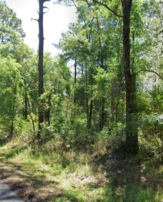 3676 E WALKER STREET, INVERNESS, FL — photo 2 of 3