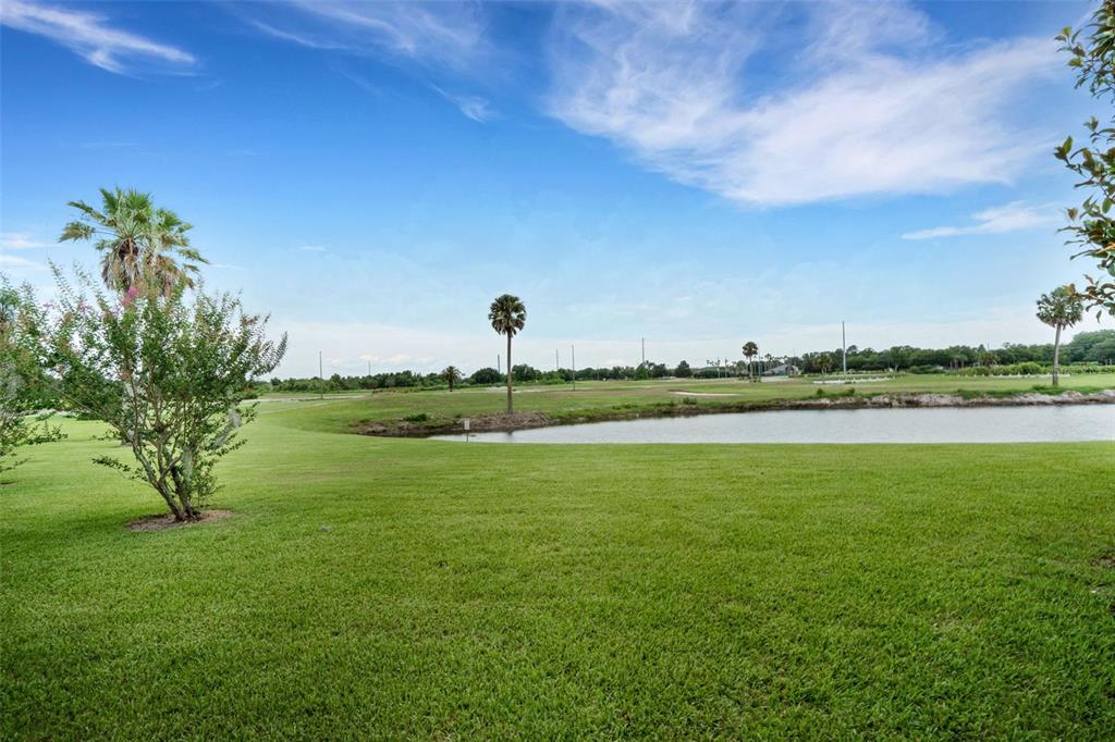 A grassy lawn overlooks a small pond with scattered palm trees under a blue sky — 313 EAGLE RIDGE DRIVE UNIT 313, DAVENPORT, FL