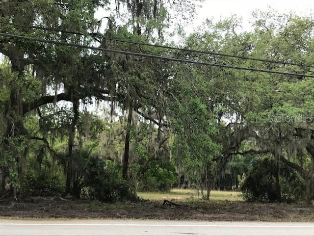 13055 MORRIS BRIDGE ROAD, THONOTOSASSA, FL — photo 3 of 11
