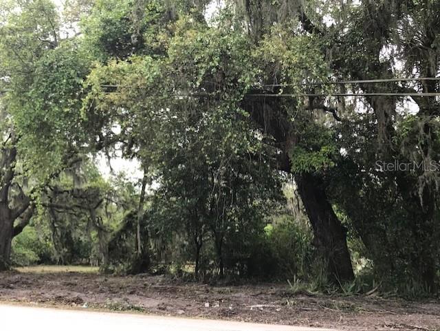 13055 MORRIS BRIDGE ROAD, THONOTOSASSA, FL — photo 4 of 11