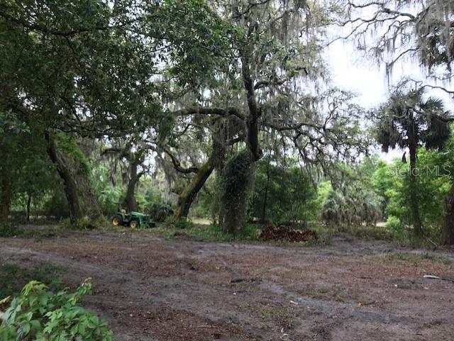 13055 MORRIS BRIDGE ROAD, THONOTOSASSA, FL — photo 5 of 11