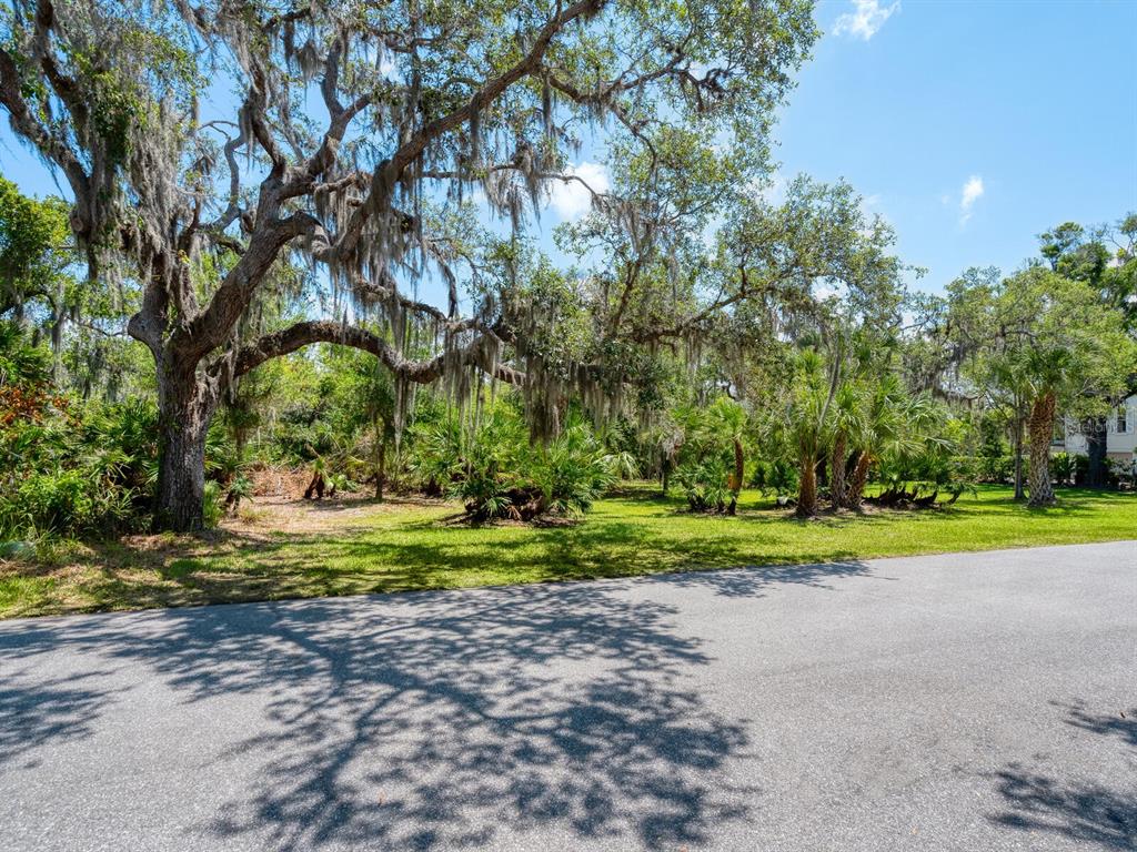 A paved road runs in front of a grassy lot with large, moss-draped oak trees — 216 OSPREY POINT DRIVE, OSPREY, FL