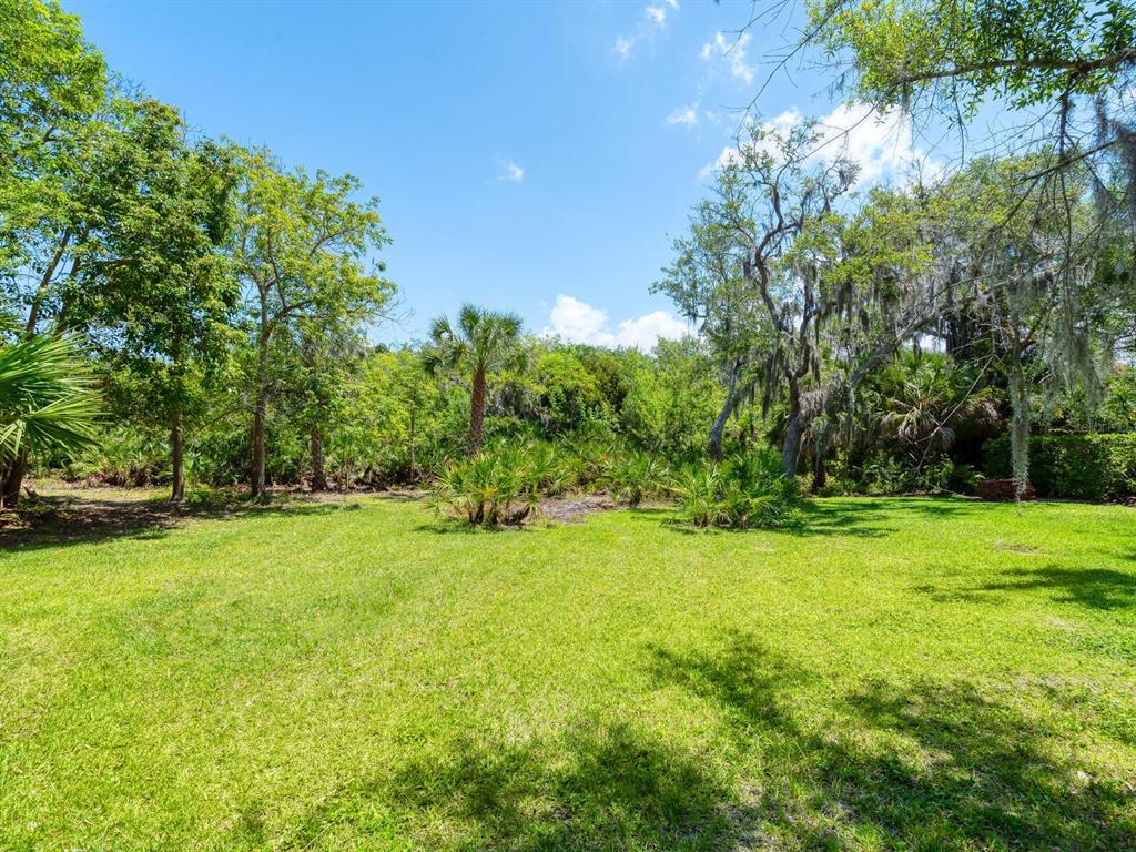 A grassy backyard features a variety of trees and dense vegetation under a blue sky — 216 OSPREY POINT DRIVE, OSPREY, FL
