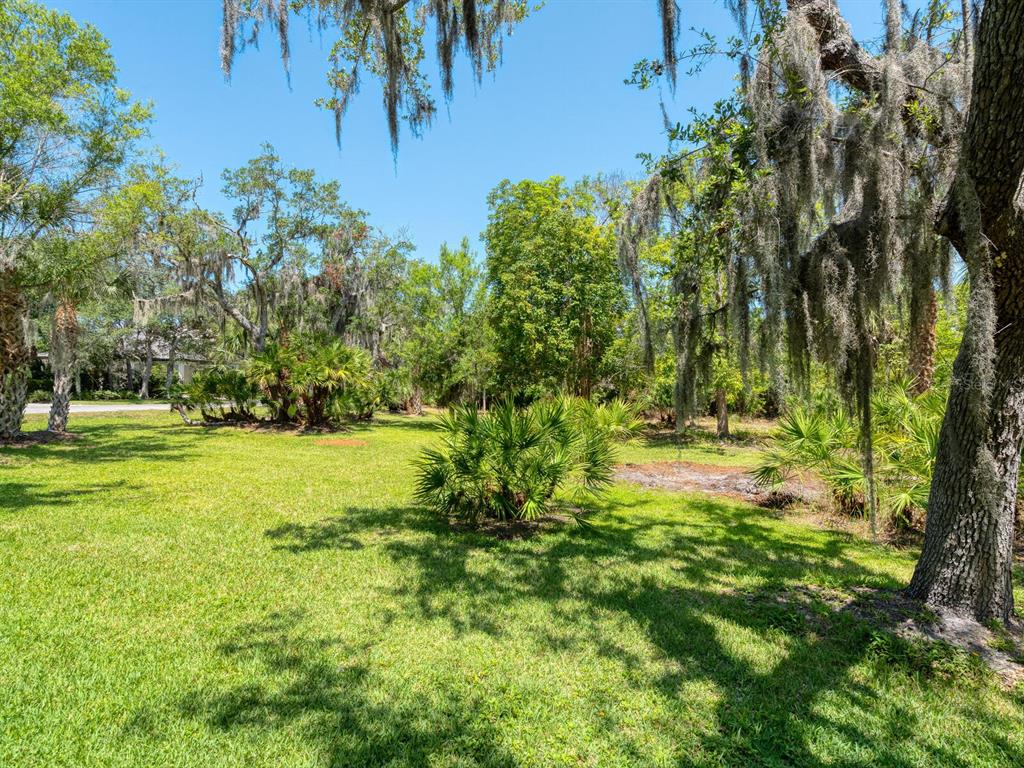 A grassy yard features several palm trees and large trees draped with Spanish moss — 216 OSPREY POINT DRIVE, OSPREY, FL