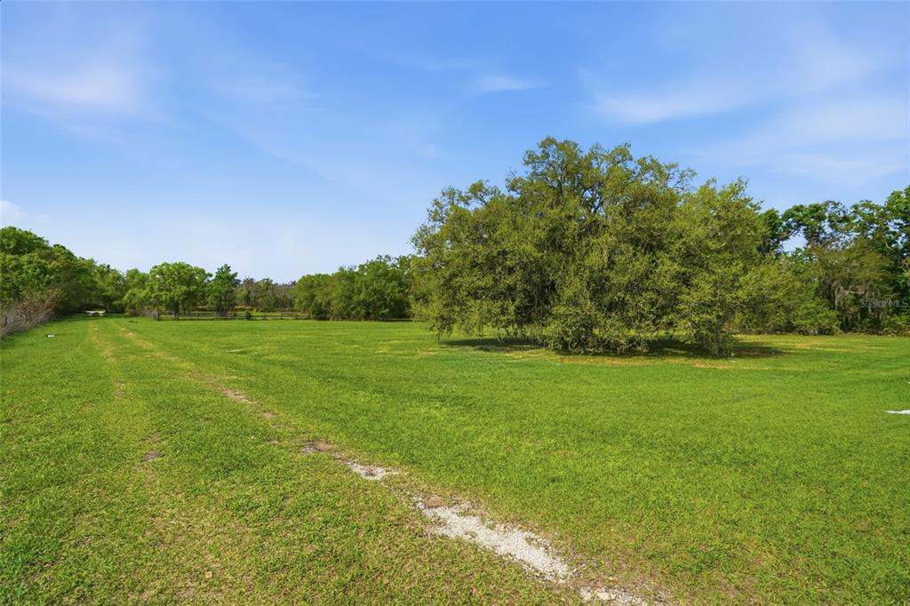 A large, grassy field features a prominent oak tree under a clear blue sky — 32430-32400 TAYLOR GRADE ROAD, DUETTE, FL