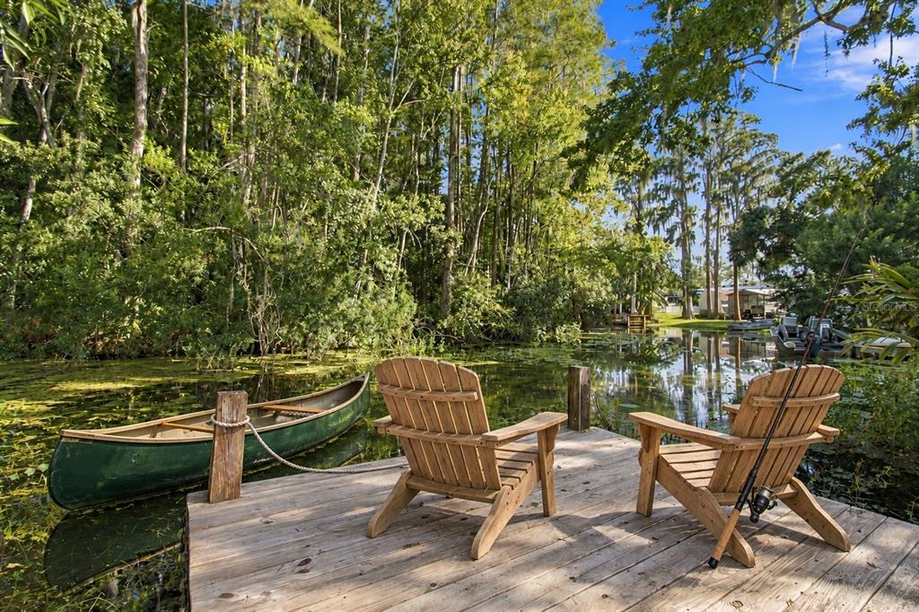 14456 GENEVA DRIVE, ODESSA, FL — photo 2 of 14