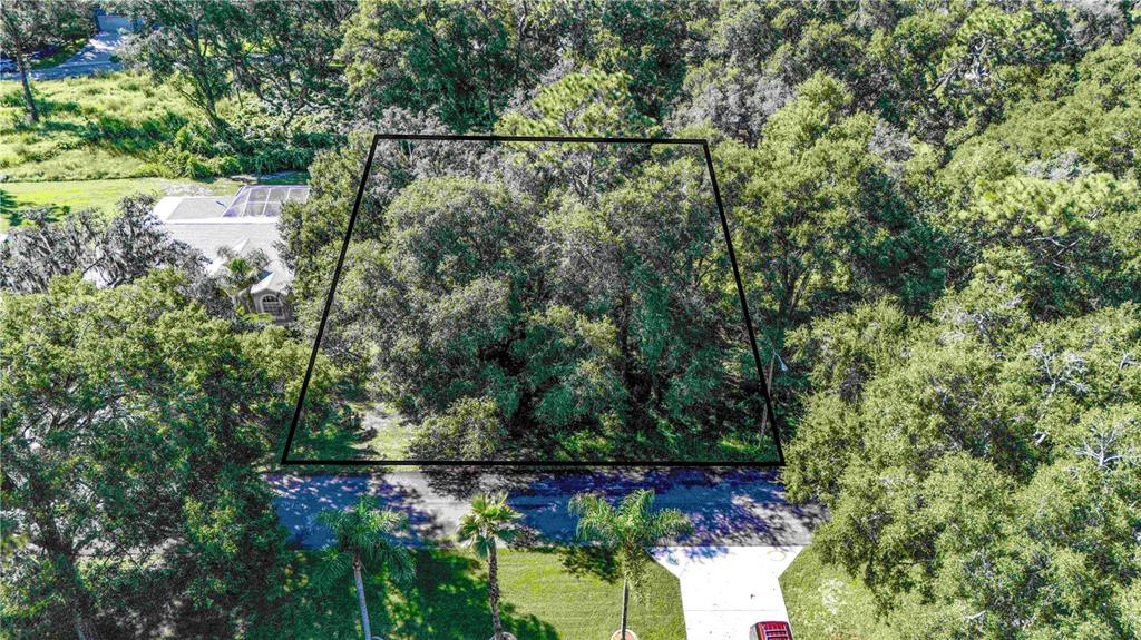 0 DIPLOMAT STREET, DADE CITY, FL — photo 2 of 5