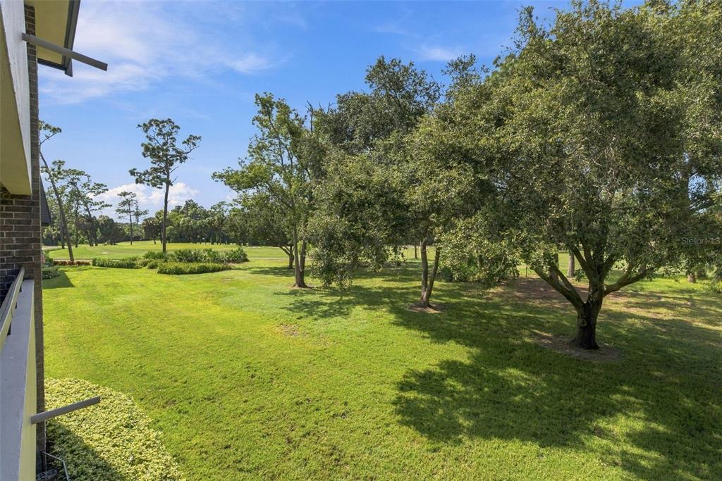 36750 US HIGHWAY 19 N UNIT 3131, PALM HARBOR, FL — photo 2 of 73