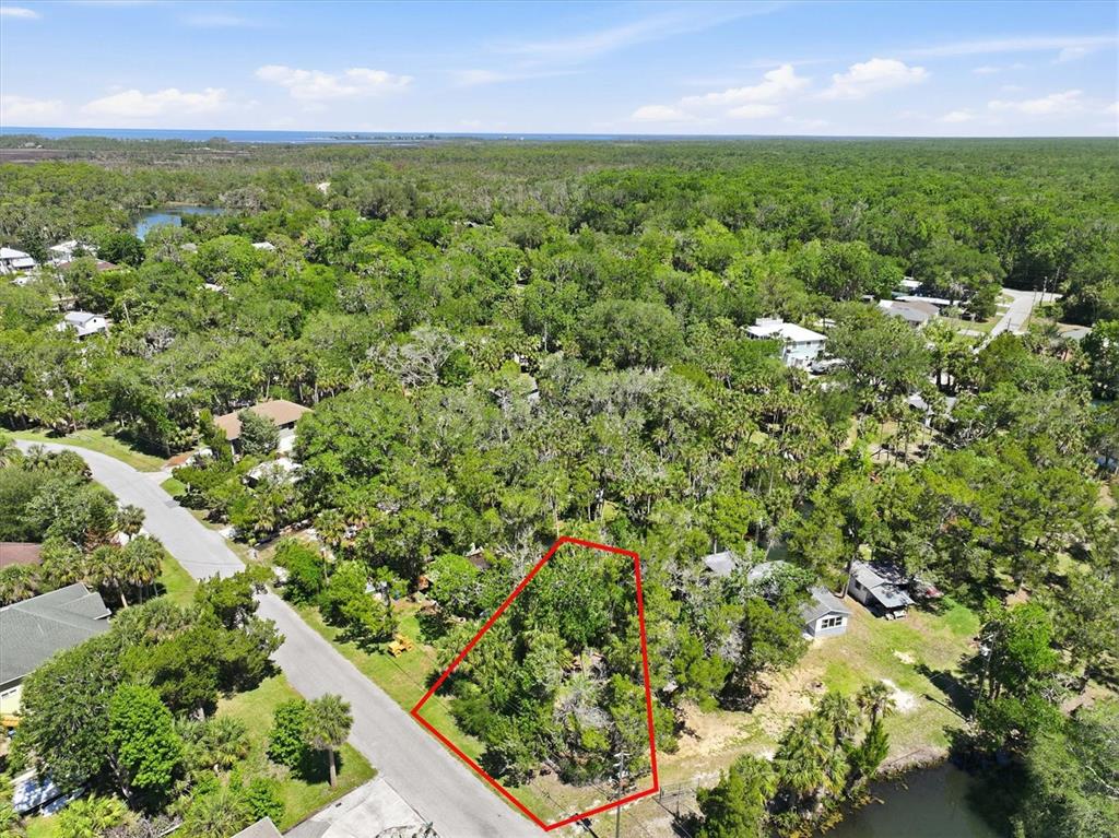 An aerial view shows a vacant, tree-covered lot outlined in red along a paved road — 6240 COLONY CIRCLE, WEEKI WACHEE, FL